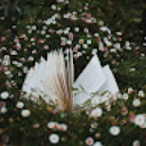 Meet your Posher, Cambria